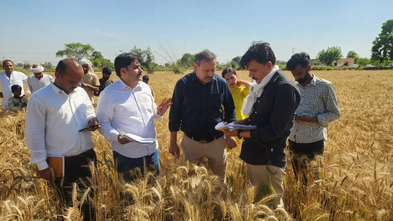 &nbsp;प्रधानमंत्री फसल बीमा योजना के तहत फसल कटाई प्रयोगों का निरीक्षण 