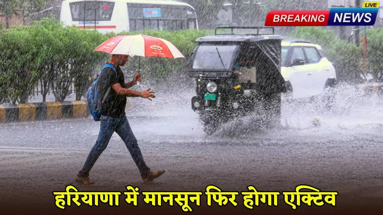 Monsoon will be active again in Haryana