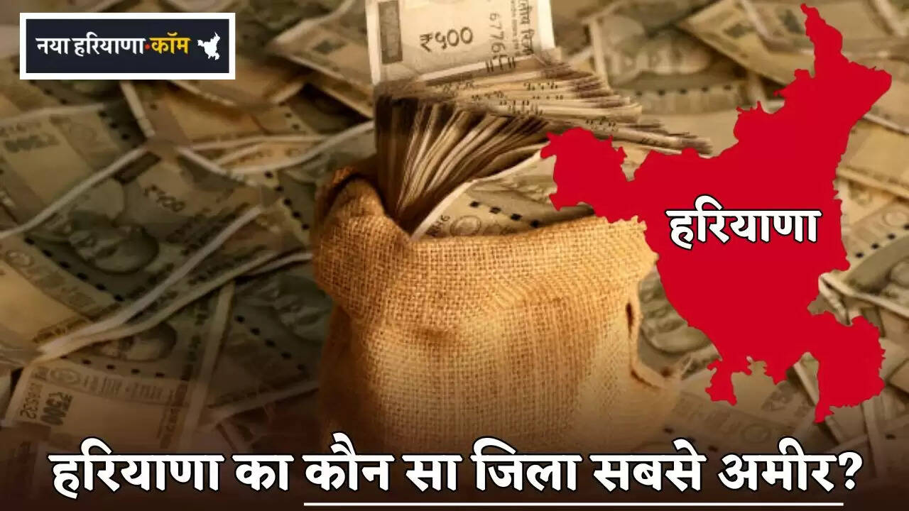 Which district of Haryana is the richest?