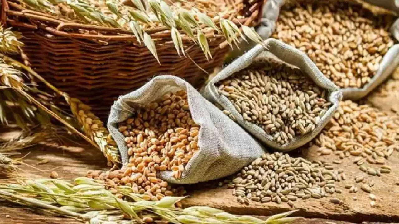 हरियाणा की सिरसा मंडी में आज 18 अप्रैल को किस रेट पर बिकी फसलें, देखें नए भाव