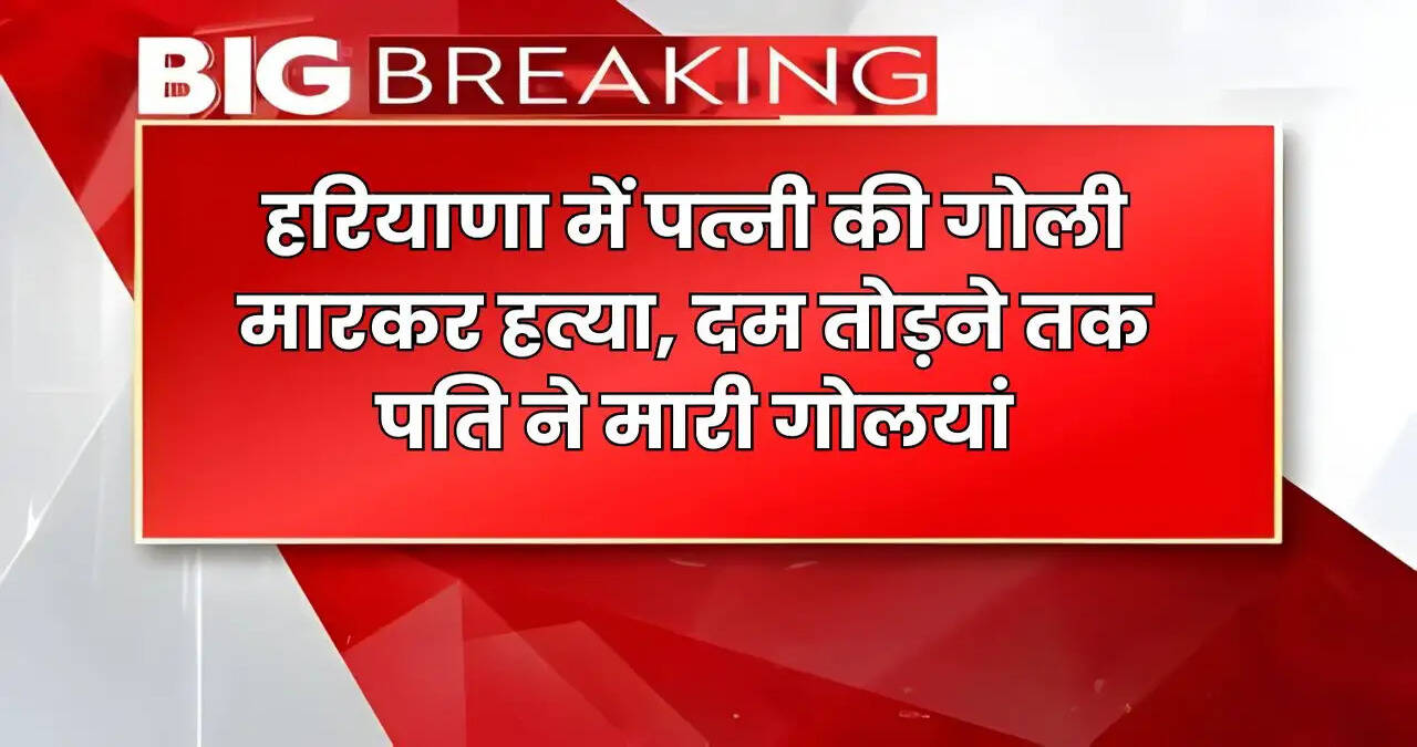 HARYANA NEWS