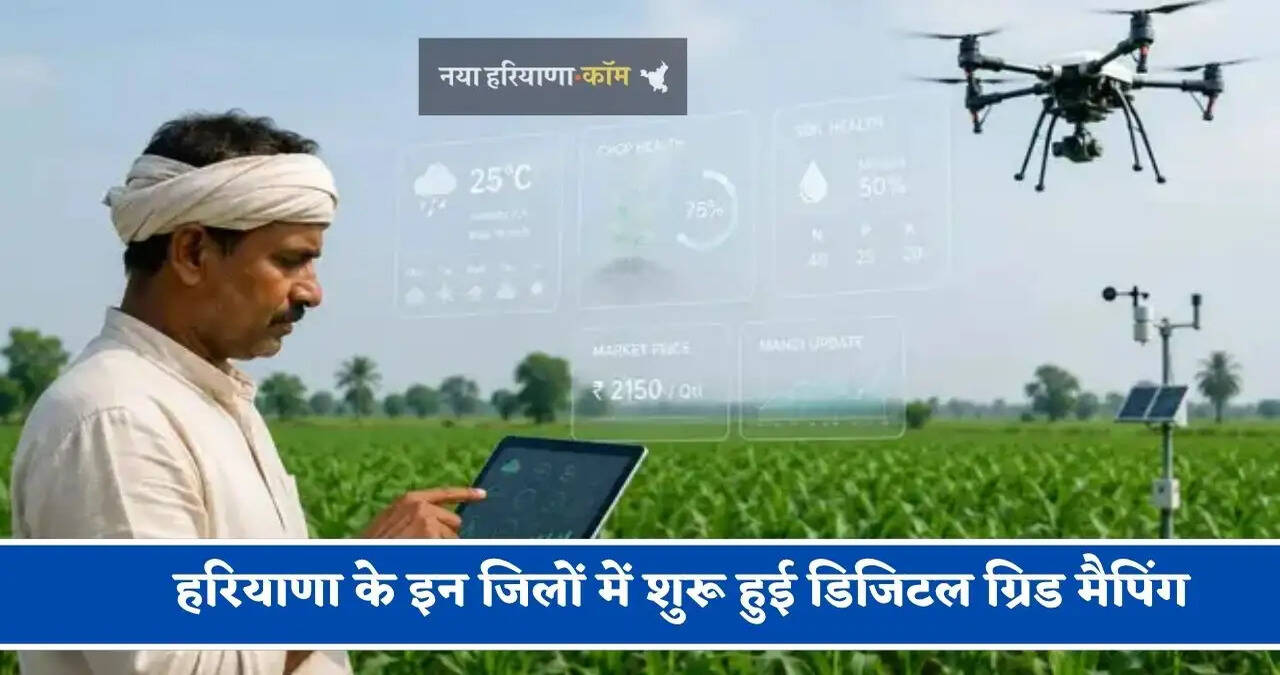 हरियाणा के इन जिलों में शुरू हुई डिजिटल ग्रिड मैपिंग, इसमें AI बताएगा खेत को पानी की जरूरत है या खाद की&nbsp;