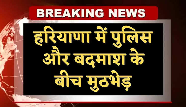 haryana news