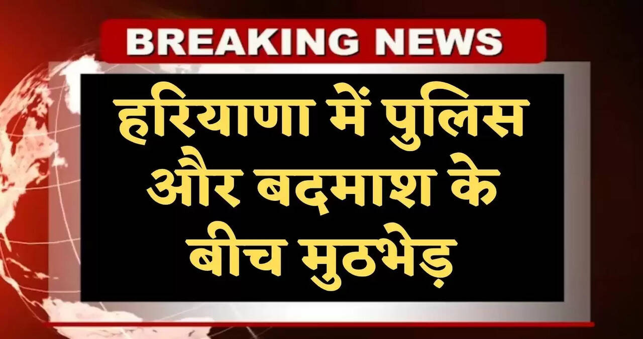 haryana news