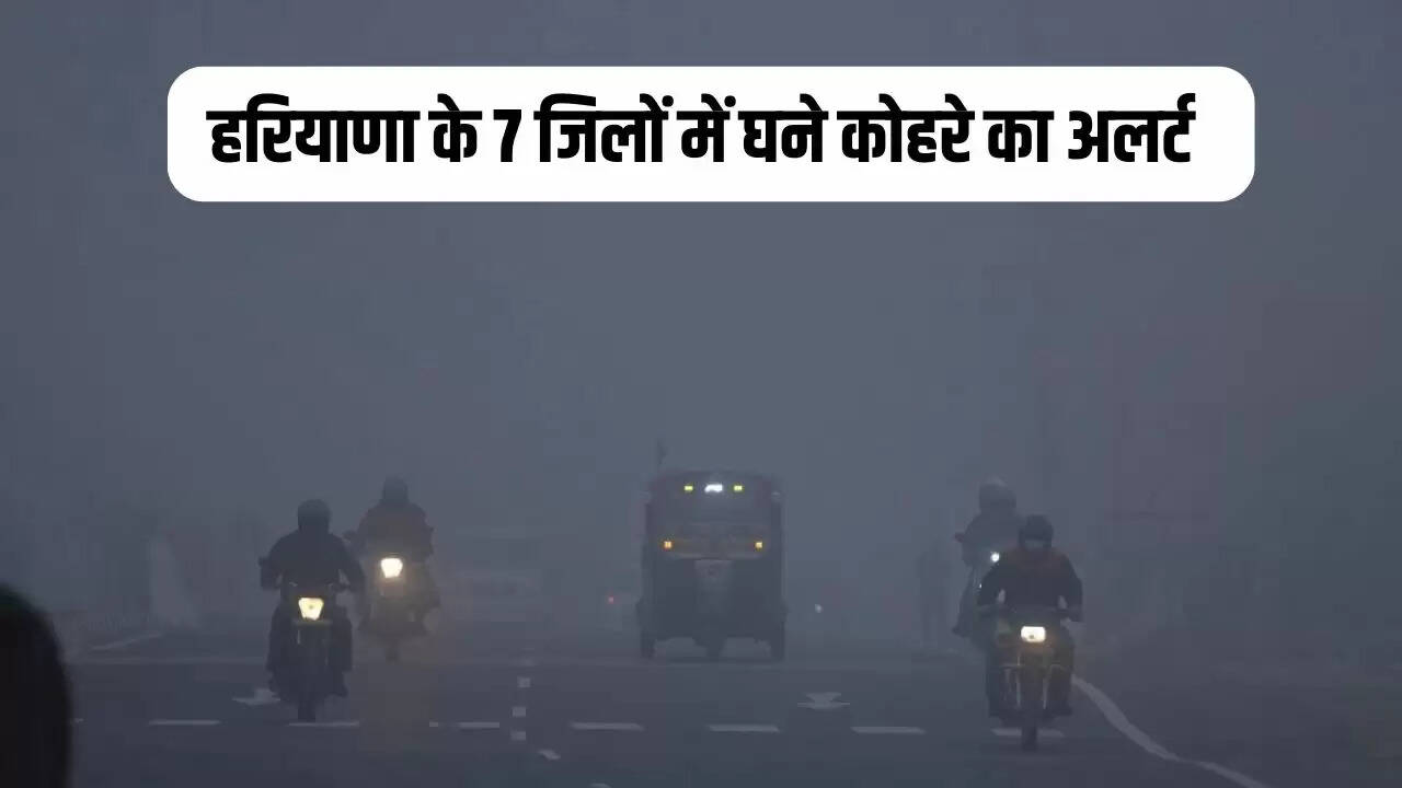 haryana weather update
