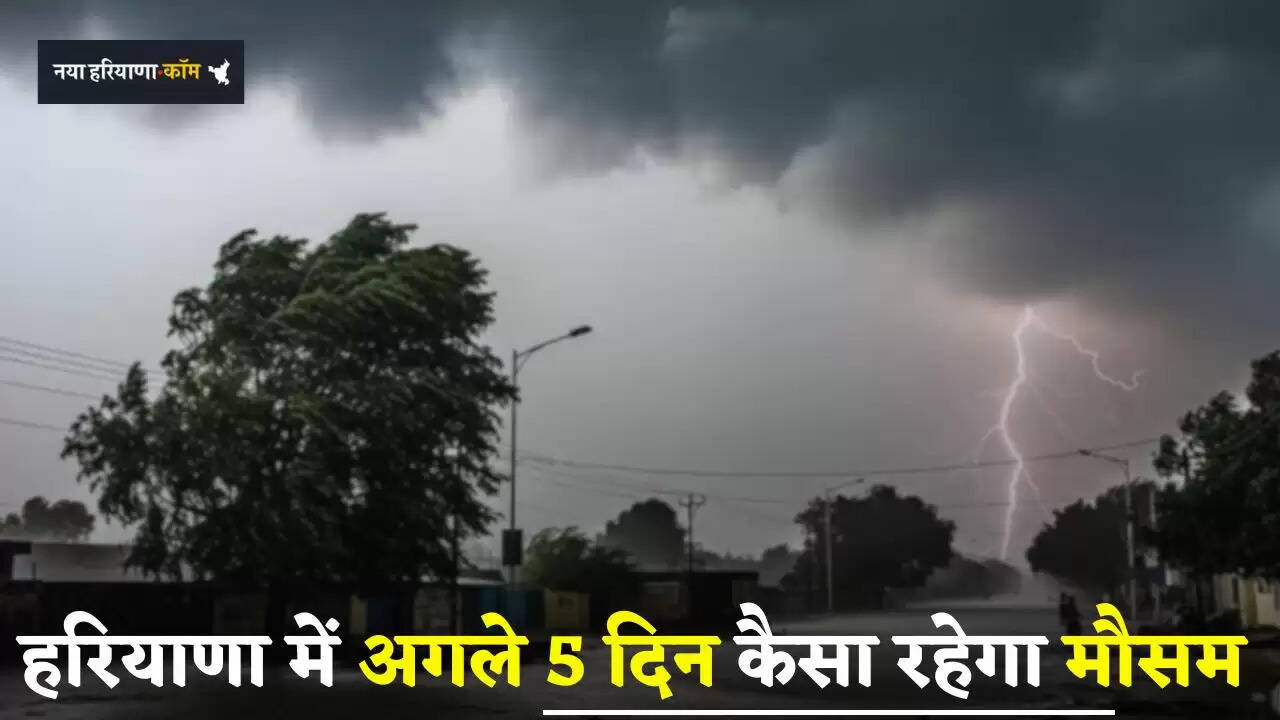 Haryana Weather: हरियाणा में अगले 5 दिन कैसा रहेगा मौसम, देखें ताजा अपडेट&nbsp;