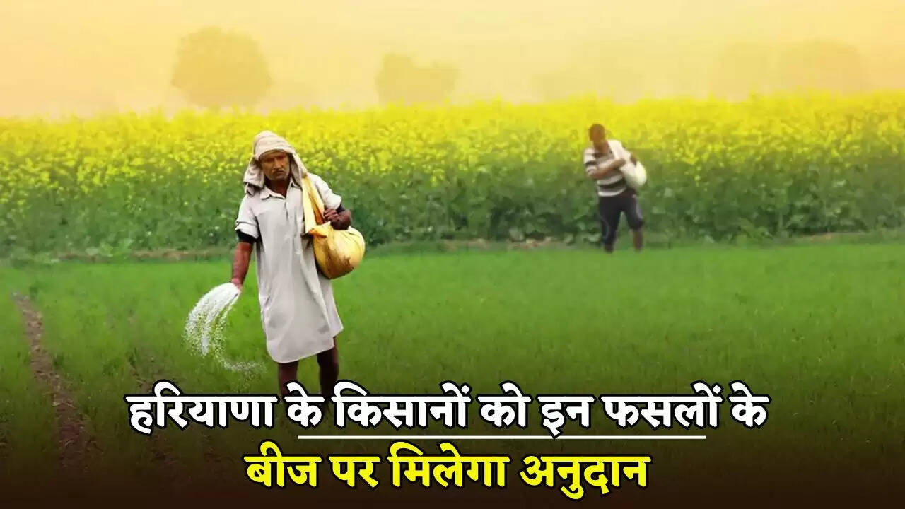 Haryana farmers will get subsidy on seeds of these crops