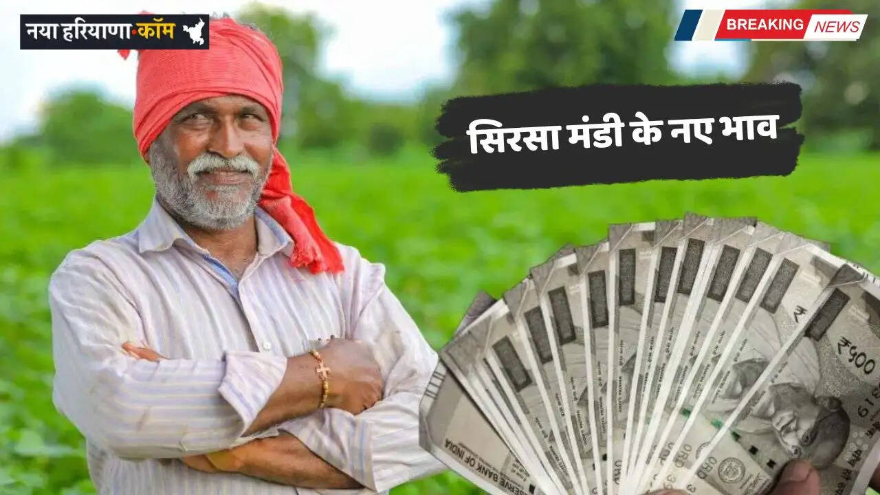 Mandi Bhav: सिरसा मंडी के नए भाव जारी, देखें आज किस रेट पर बिकी फसलें