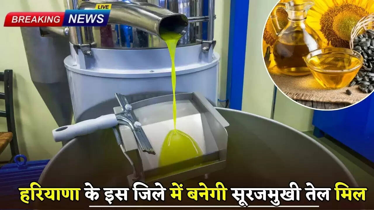 Sunflower oil mill will be built in this district of Haryana