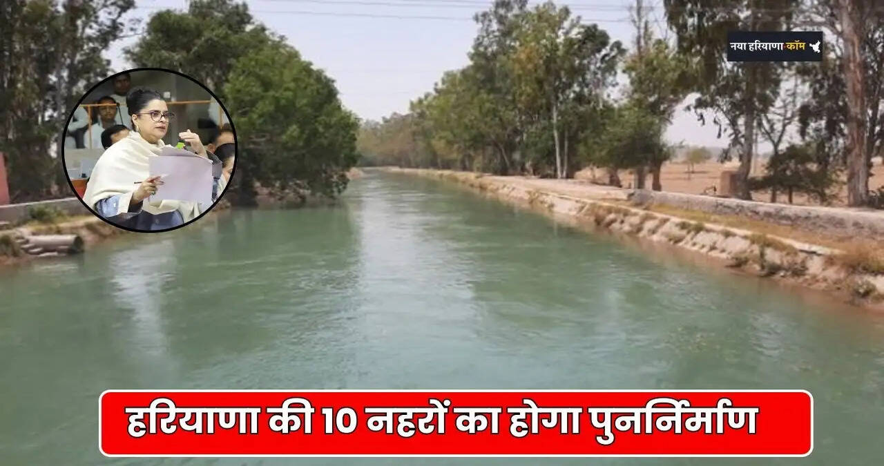 haryana news