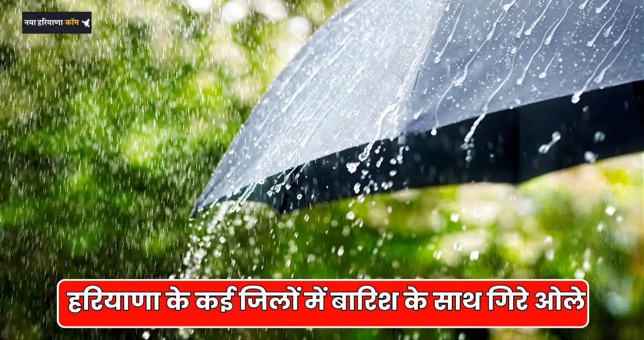 RAIN ALERT