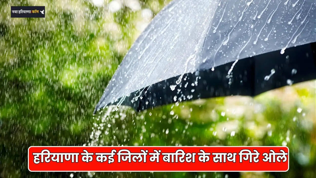RAIN ALERT