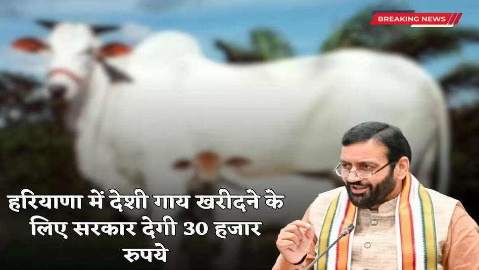 The government will give 30 thousand rupees to buy a native cow in Haryana