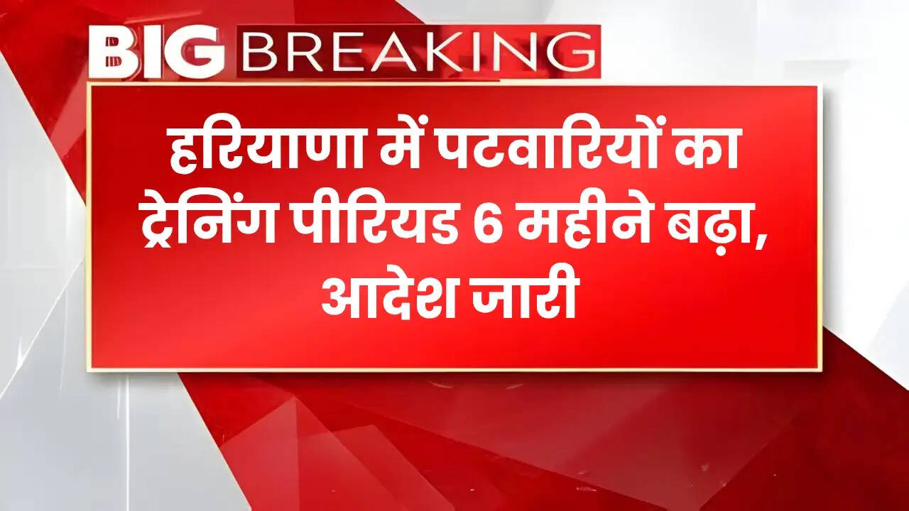 Haryana News 
