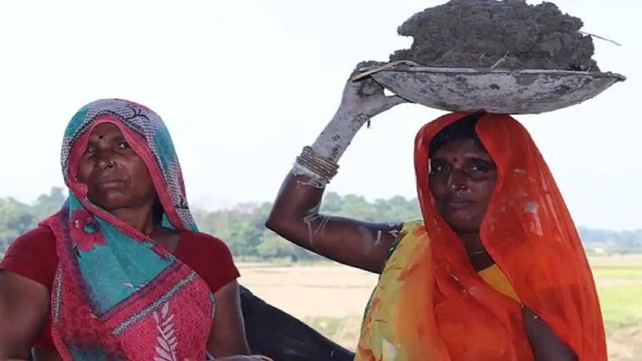 हरियाणा में अकुशल श्रमिकों की न्यूनतम मजदूरी अब 15,220 रुपये प्रतिमाह,कैबिनेट ने दी मंजूरी