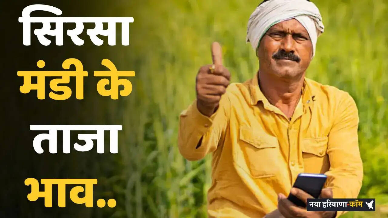 Sirsa Mandi: सिरसा मंडी के ताजा भाव जारी, देखें किस रेट पर बिक रही सभी फसलें&nbsp;