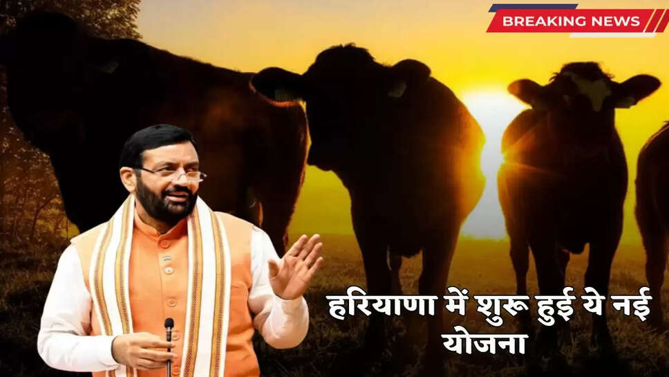 financial assistance of Rs 5 lakh will be given on death due to dog bite and stray animals, this scheme has been implemented
