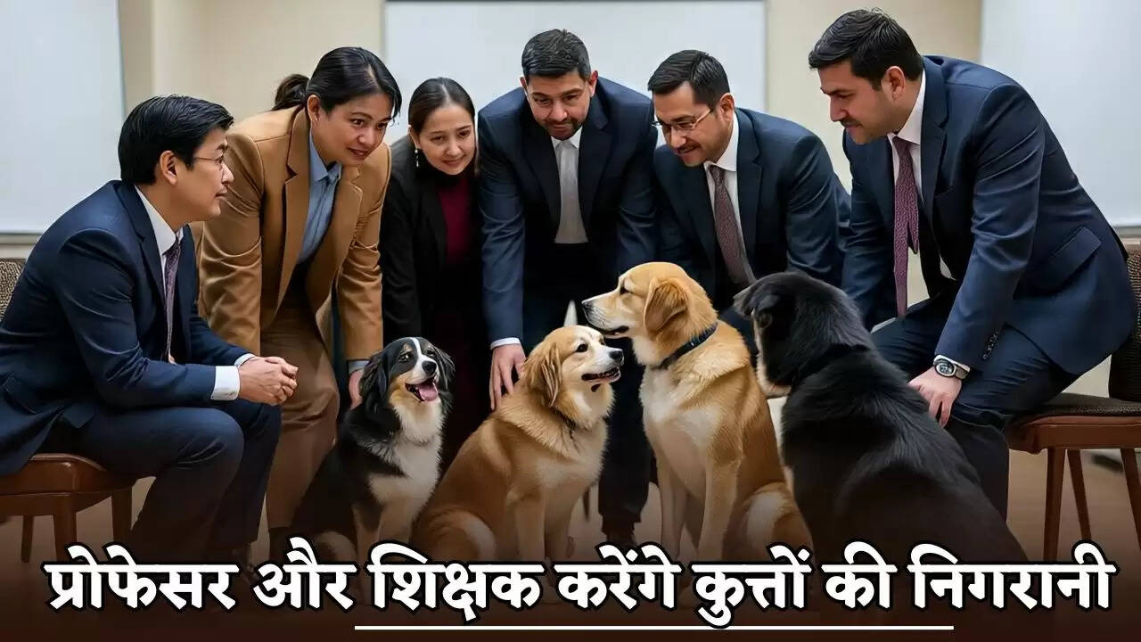 Professors and teachers in Haryana will monitor the dogs.
