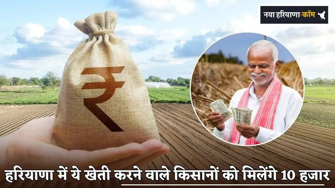 Farmers doing organic farming in Haryana will get Rs 10,000.