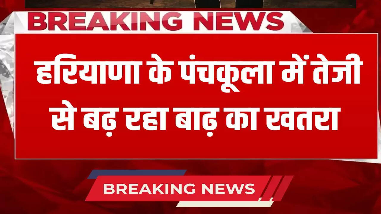 Punckula DC advisory 