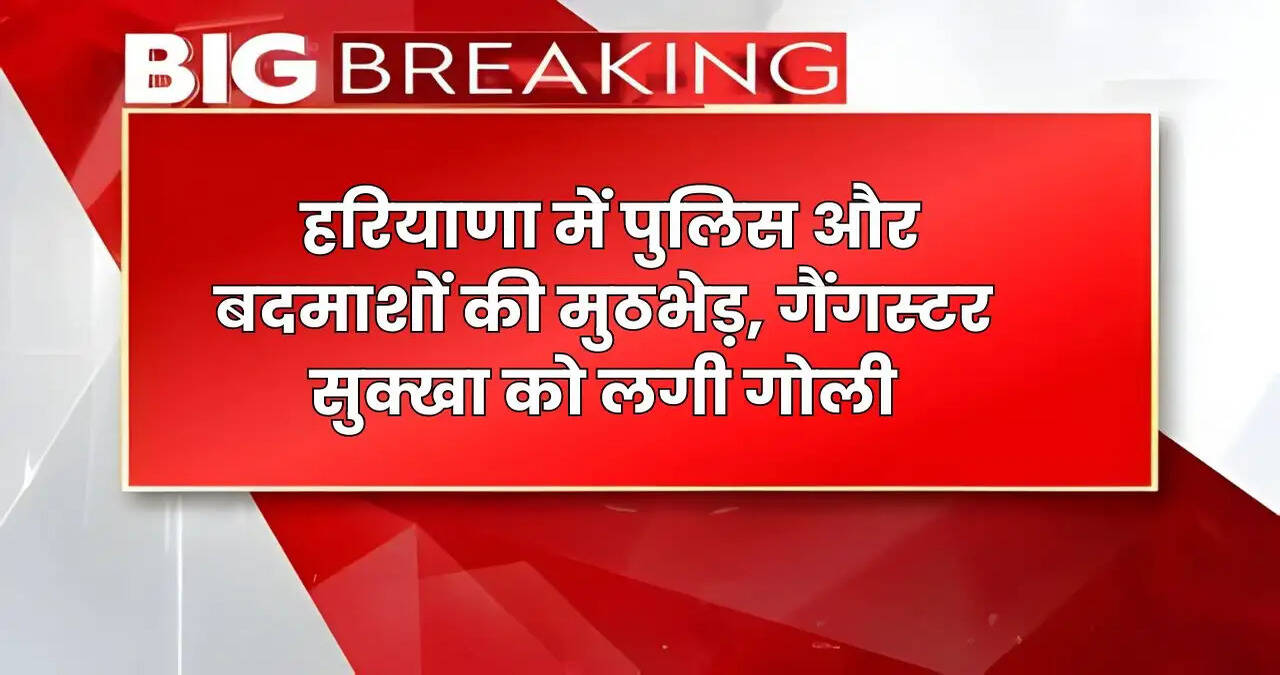 haryana news