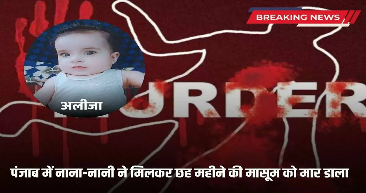 6 month old girl murder in punjab