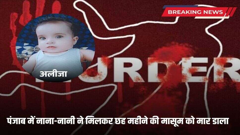 6 month old girl murder in punjab