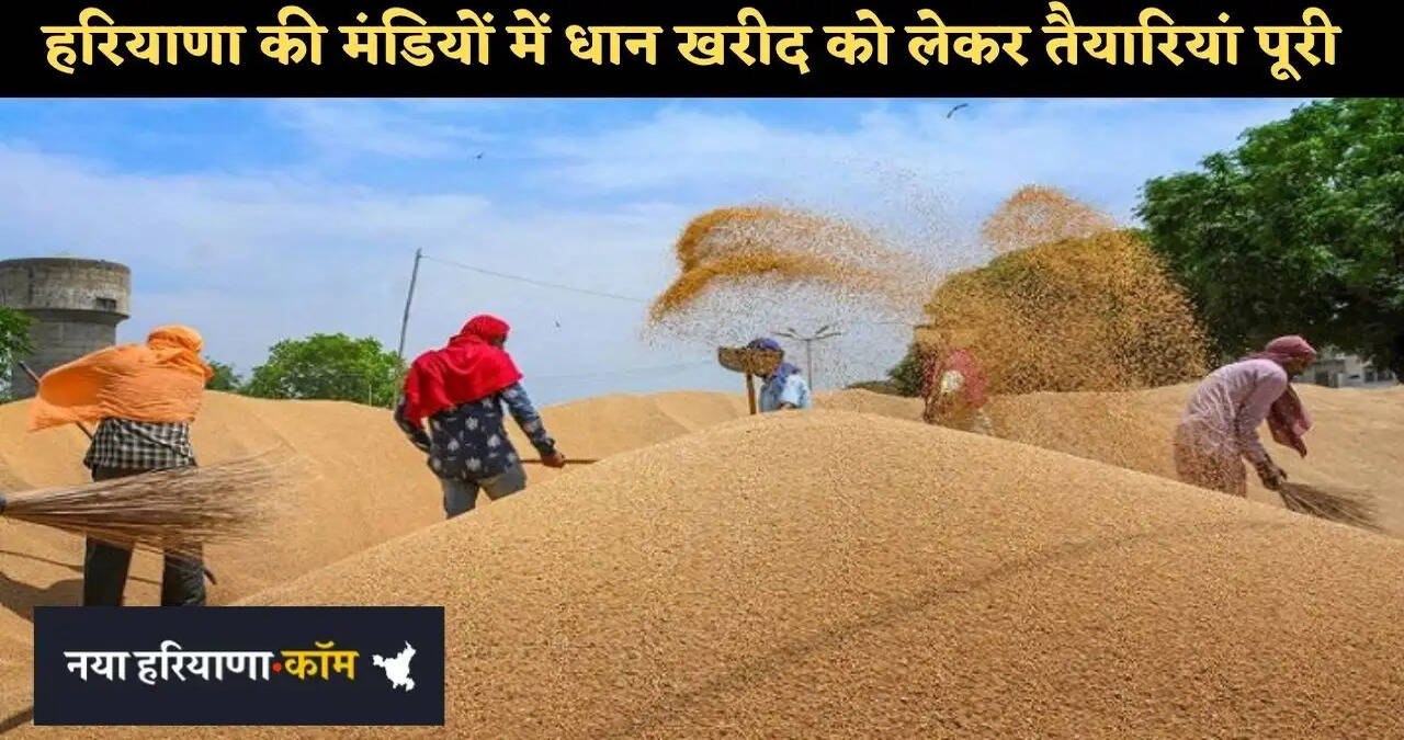 हरियाणा की मंडियों में धान खरीद को लेकर तैयारियां पूरी, कृषि मंत्री ने की किसानों से संयम बरतने की अपील&nbsp;