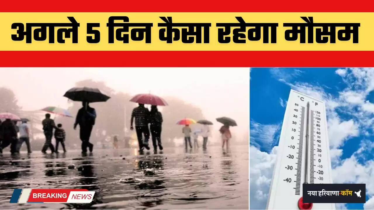 Haryana weather: How will the weather 