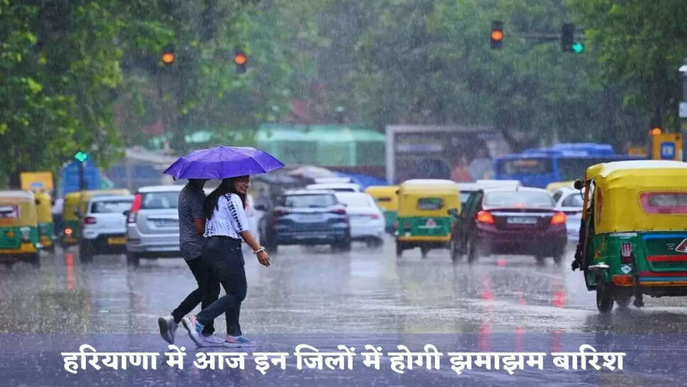Haryana Weather Update: There will be heavy rain in these districts of Haryana today, Meteorological Department has issued an alert