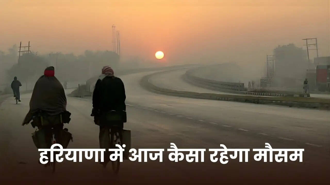 Haryana Weather update 