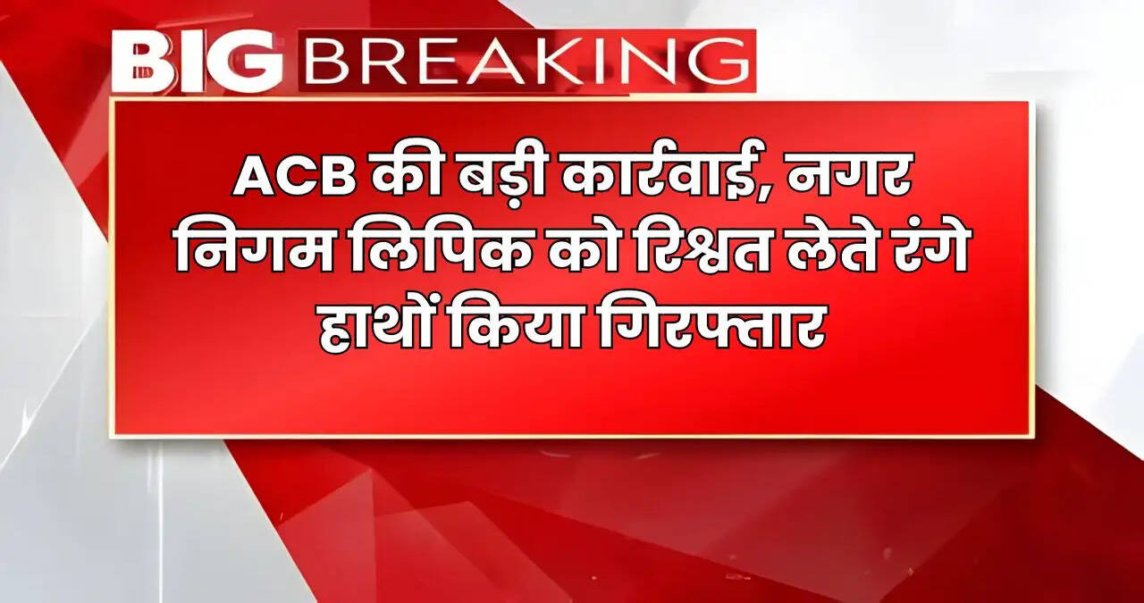 HARYANA NEWS