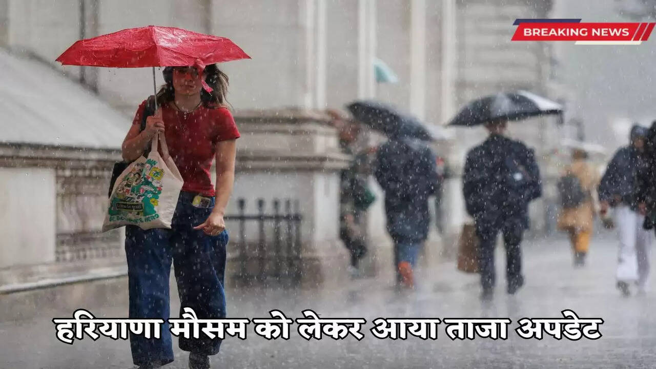 Latest update on Haryana weather