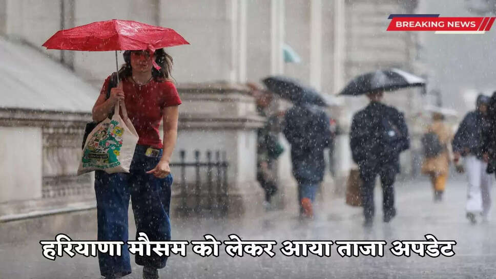 Latest update on Haryana weather