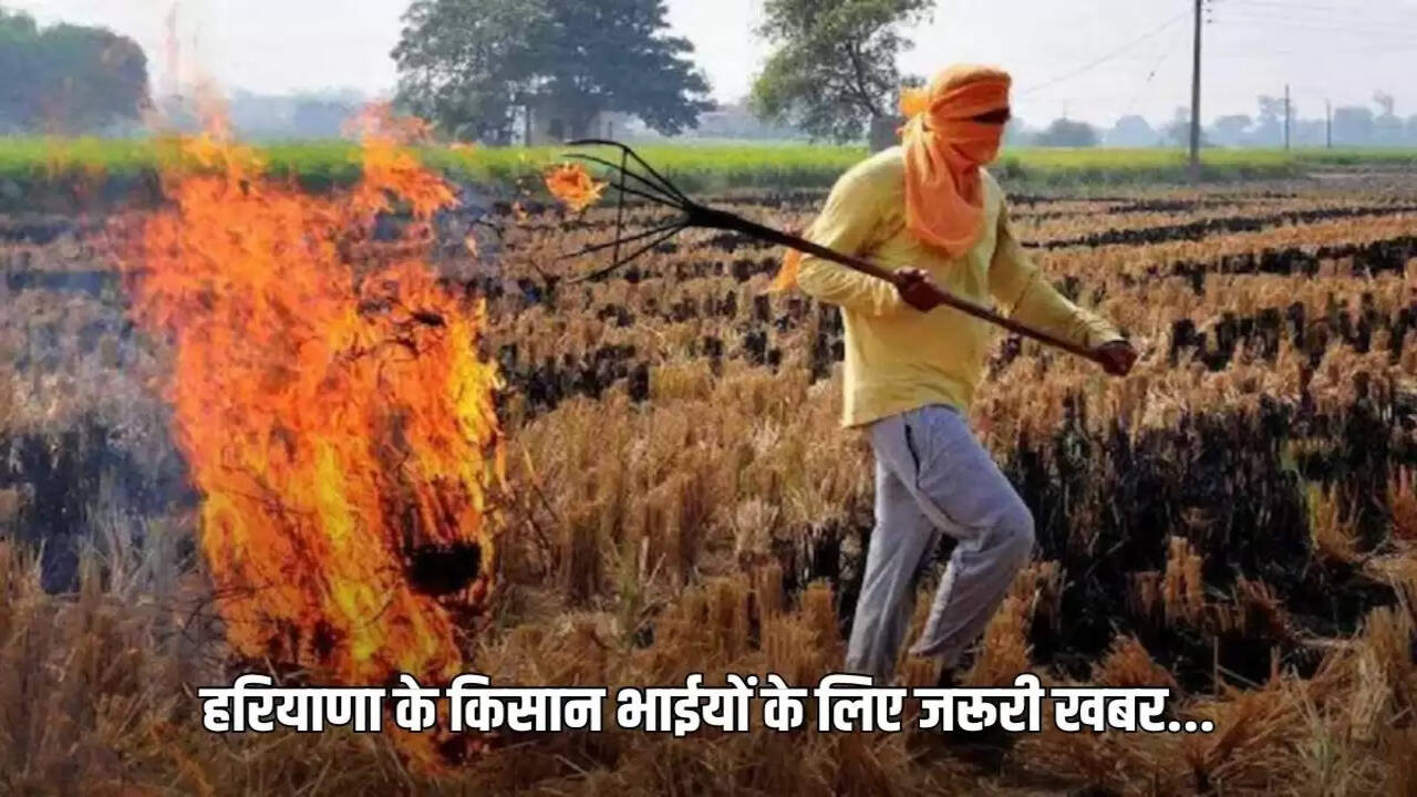 Farmers who burn crop residue will have 'red entry'