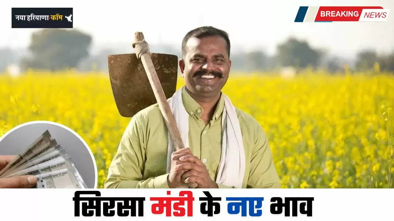Mandi Bhav: हरियाणा की सिरसा मंडी के नए भाव जारी, इन रेटों पर बिक रही फसलें