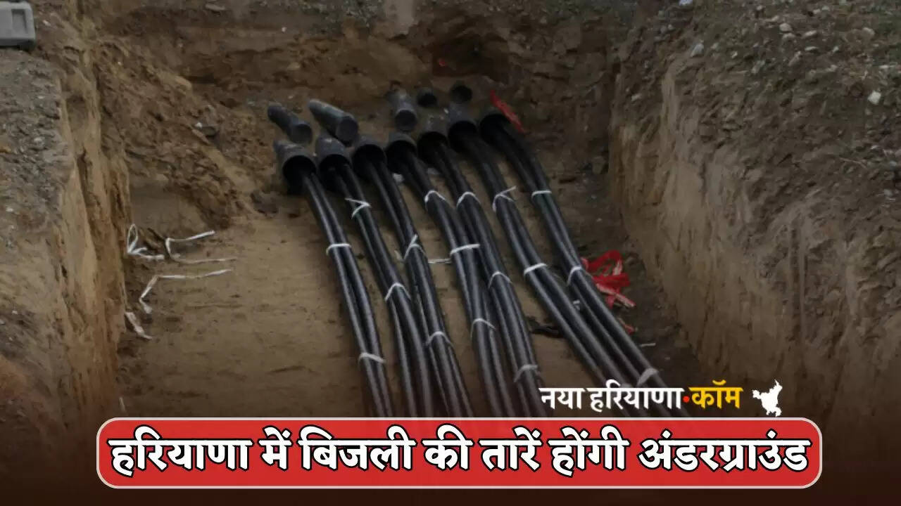 Electricity cables will be underground in Haryana