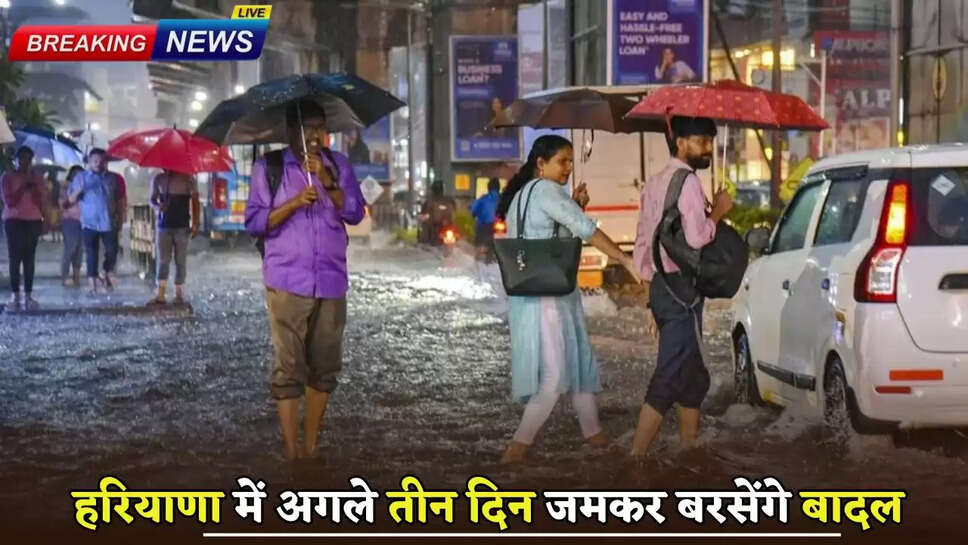 Clouds will rain fiercely in Haryana for the next three days
