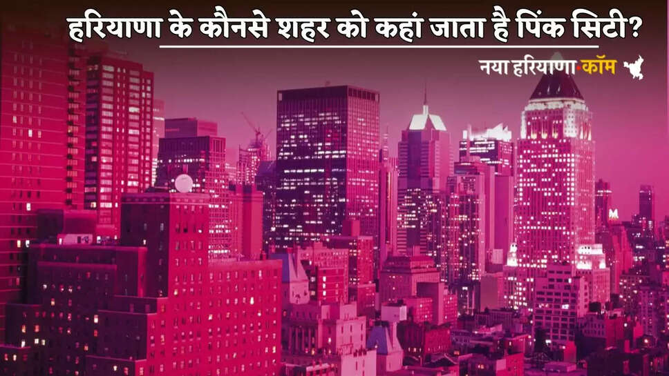 Which city of Haryana is called Pink City?