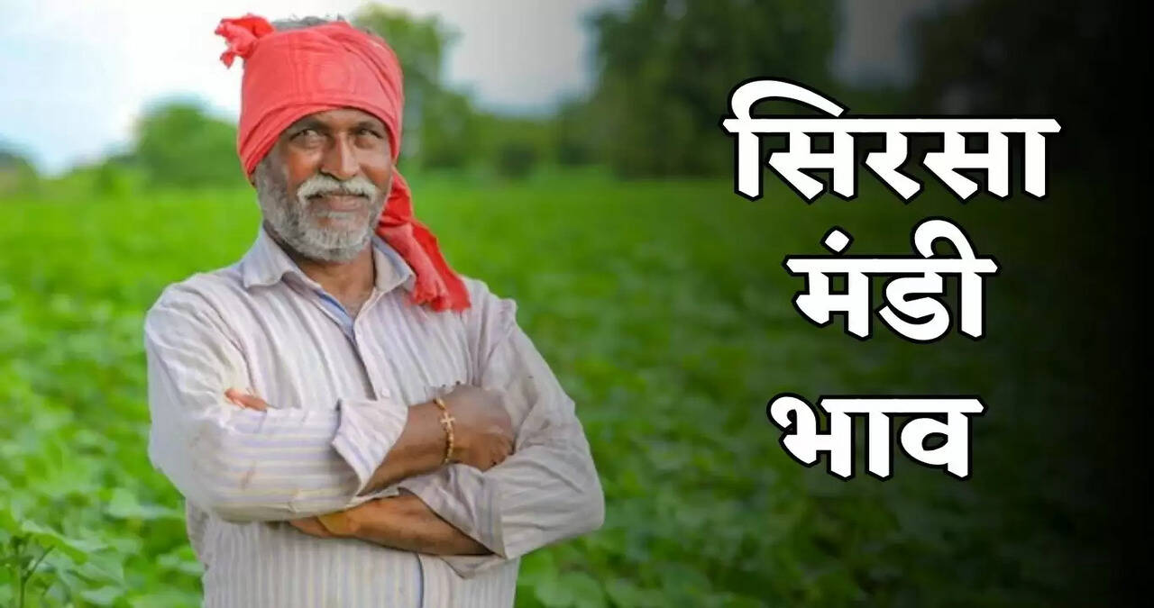 sirsa mandi bhav