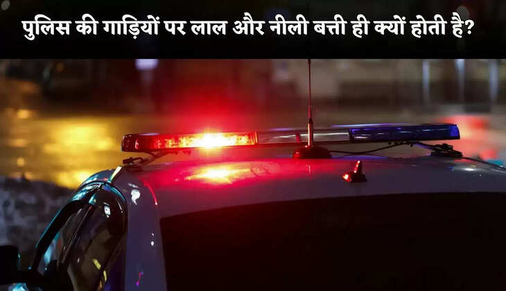 viral news