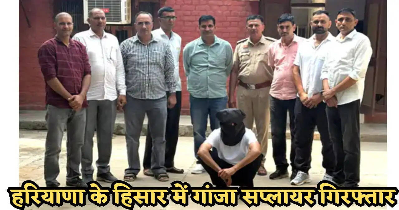 हरियाणा के हिसार में गांजा सप्लायर गिरफ्तार, 60 लाख रुपये का नशीले पदार्थ बरामद