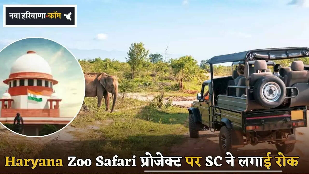 SC puts stay on Haryana Zoo Safari project
