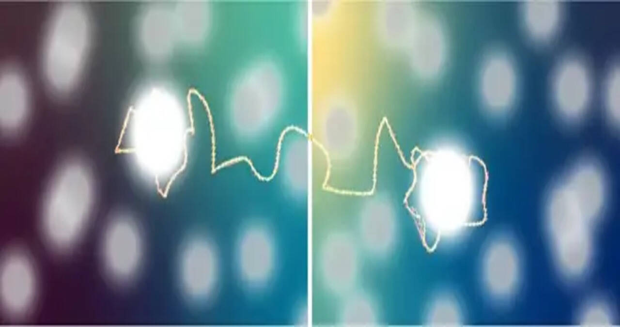 Scientists uncover a way to outsmart quantum entanglement loss with a single move