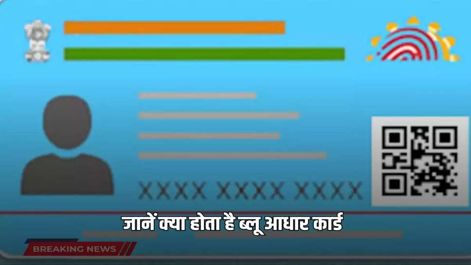 Get Blue Aadhaar Card at Home