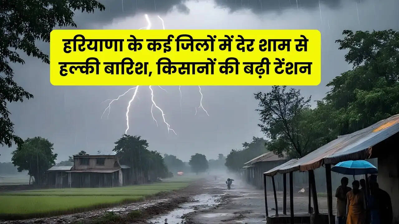 haryana weather alert