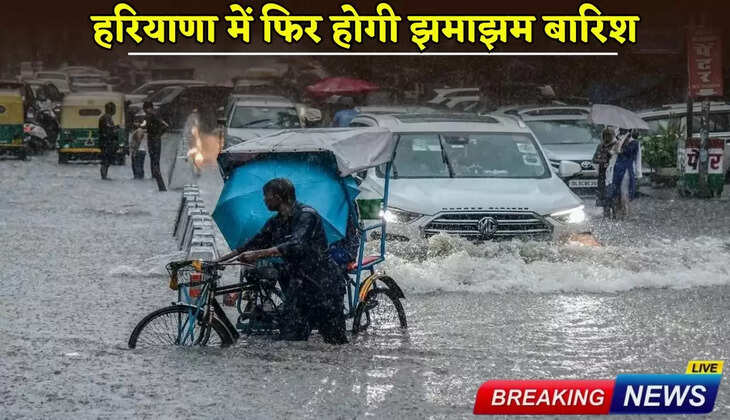 There will be heavy rain again in Haryana