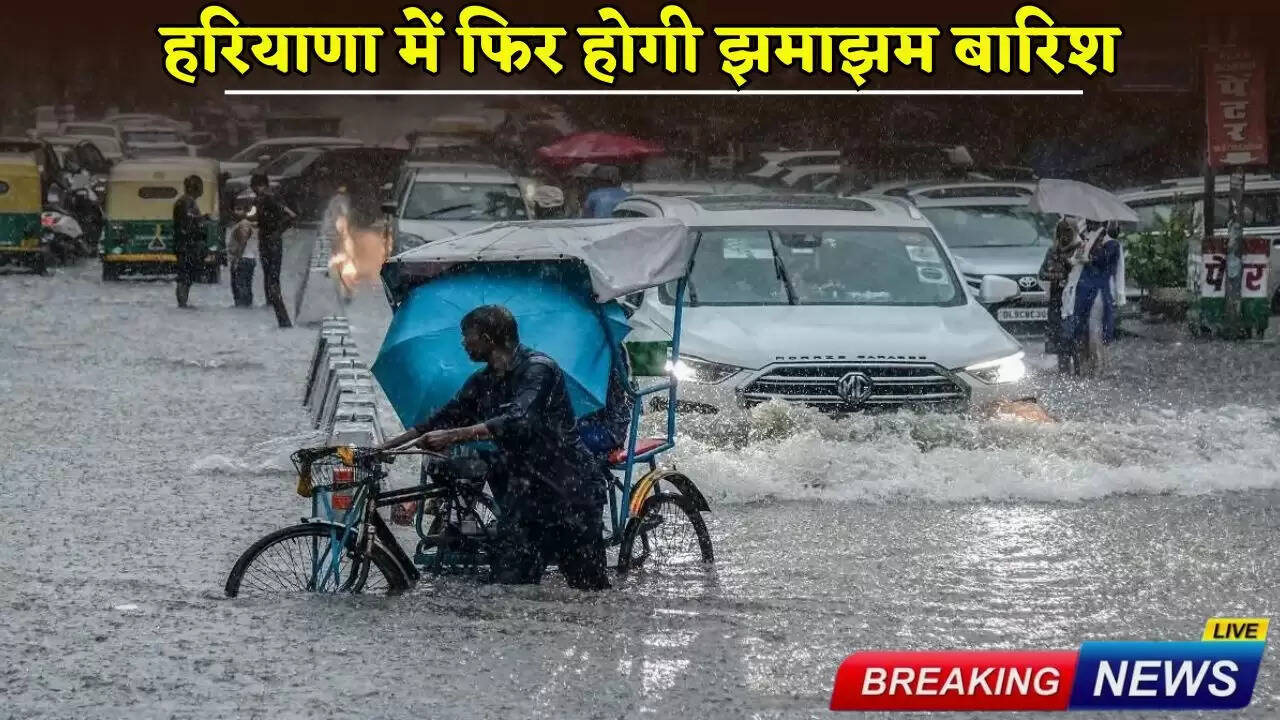 There will be heavy rain again in Haryana