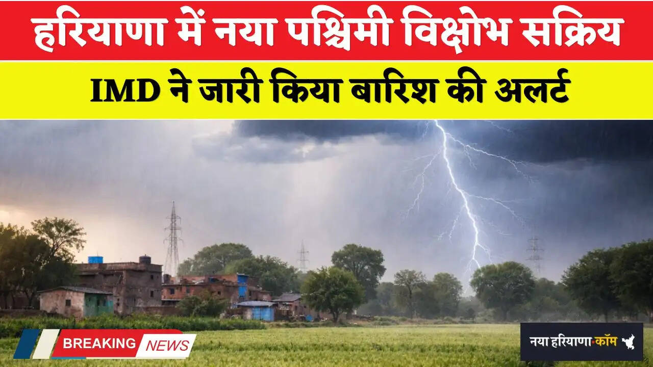 Haryana Weather: हरियाणा में नया पश्चिमी विक्षोभ सक्रिय, IMD ने जारी किया बारिश की अलर्ट
