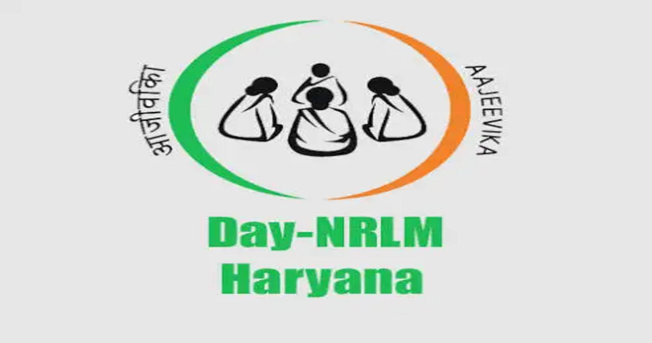 हरियाणा राज्य ग्रामीण आजीविका मिशन के तहत सीएलएफ में विभिन्न पदों पर भर्ती, 20 जुलाई तक करें आवेदन
